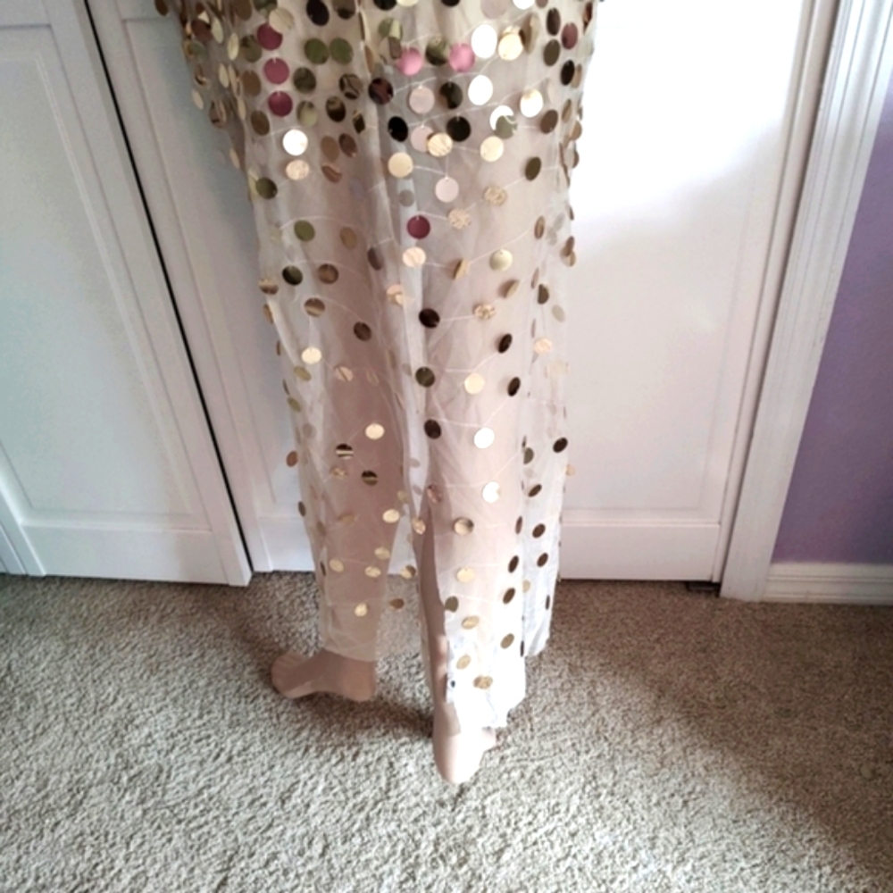 Sexy sheer metallic gown - Picture 8 of 16